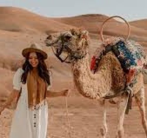 agafay camel